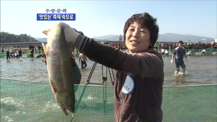 [주말문화] 가을, 맛있는 축제 속으로…