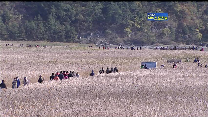 순천만 갈대와 겨울철새 선발대 장관