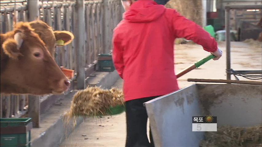 [생생경제] 한우 반값 ‘북적’…농가는 시름