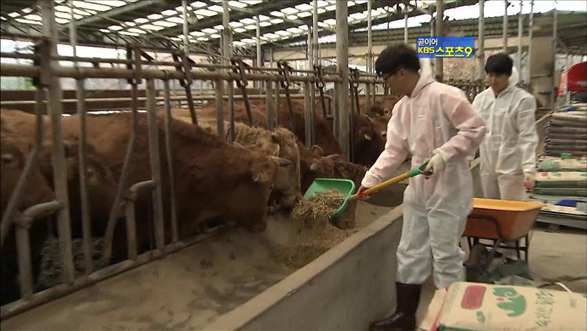 ‘축산 도우미’ 도입…“마음 놓고 쉬세요”