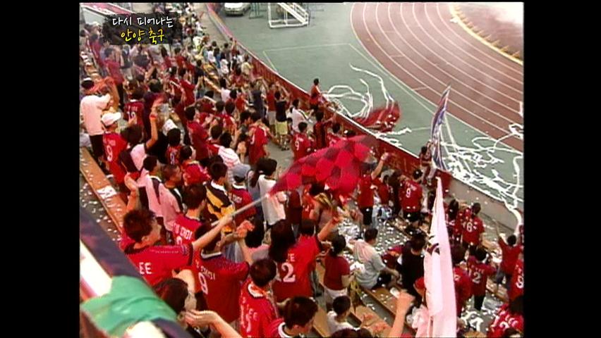 다시 피어나는 안양 축구