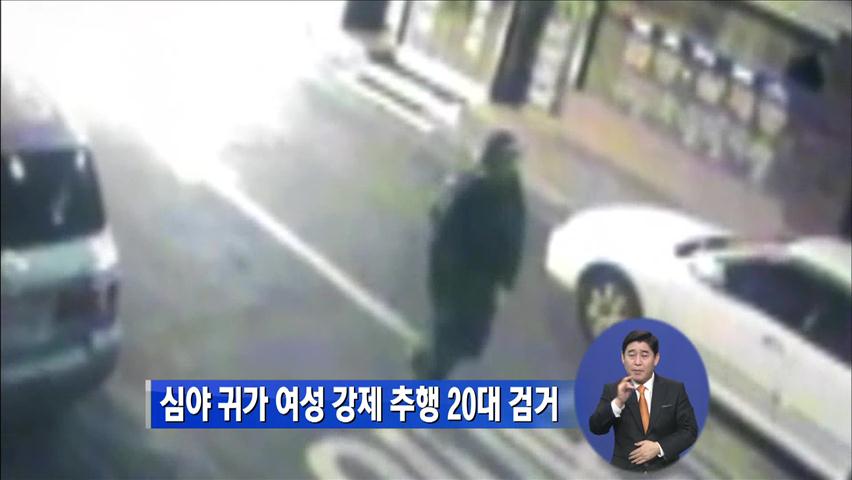 심야 귀가 여성 강제 추행 20대 검거