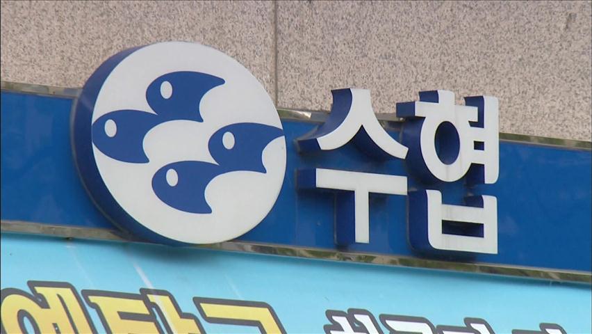 ‘백억대 불법 대출’ 수협 임직원 적발