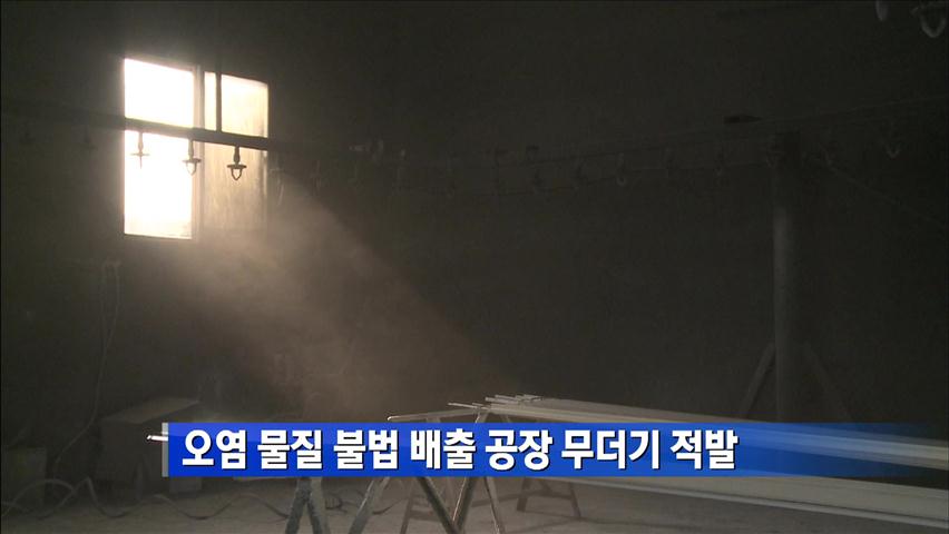 오염 물질 불법 배출 공장 무더기 적발
