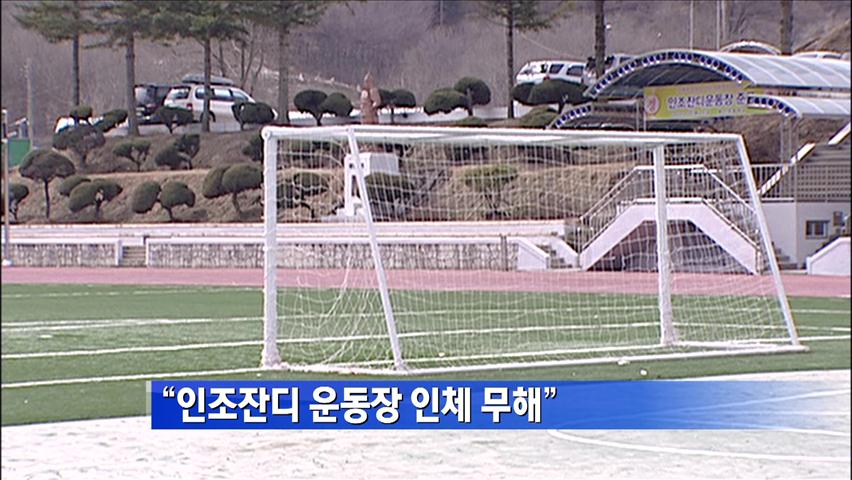 인조잔디 운동장 인체 무해