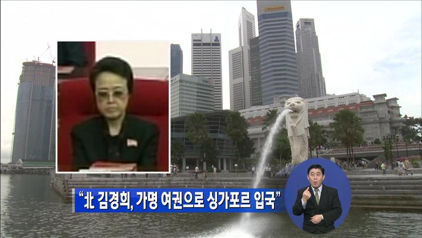 “北 김경희, 가명 여권으로 싱가포르 입국”