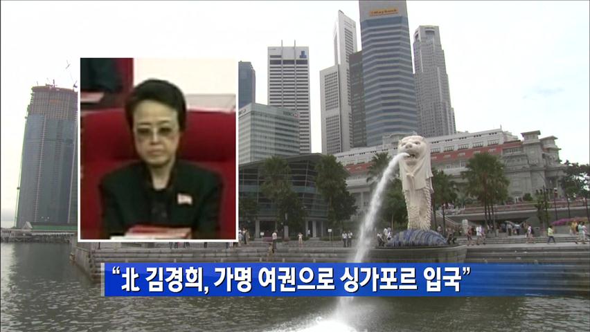 “北 김경희, 가명 여권으로 싱가포르 입국”