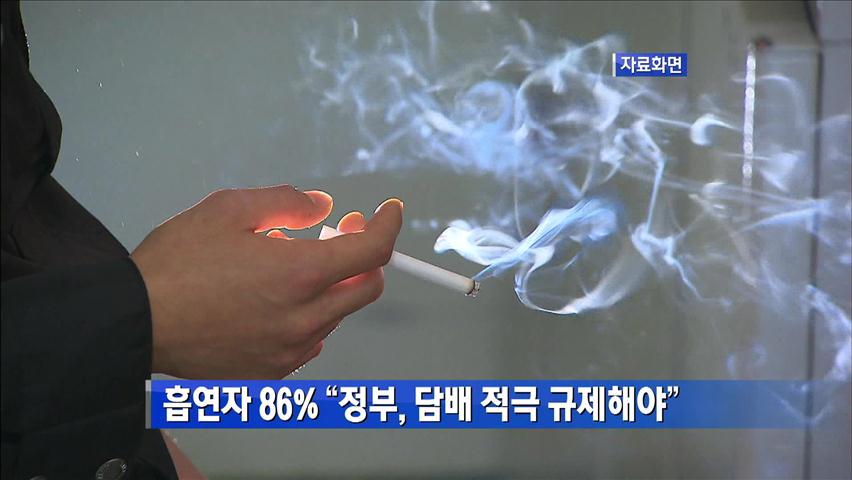 흡연자 86% “정부, 담배 적극 규제해야”