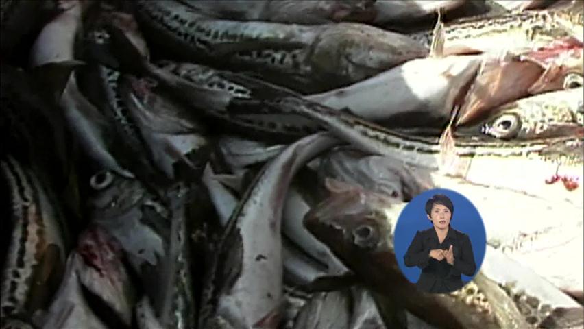한-러, 어업 쿼터 협상 결렬…수산물값 급등 우려