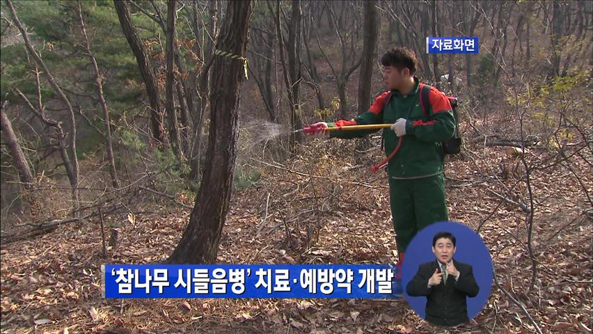 ‘참나무 시들음병’ 치료·예방약 개발