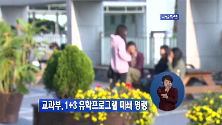 교과부, 1+3 유학프로그램 폐쇄 명령