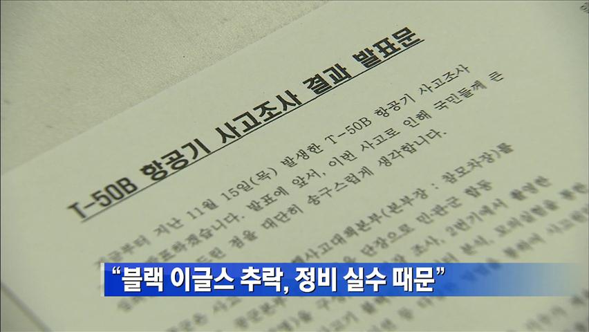 “블랙이글스 추락, 정비 실수 때문”