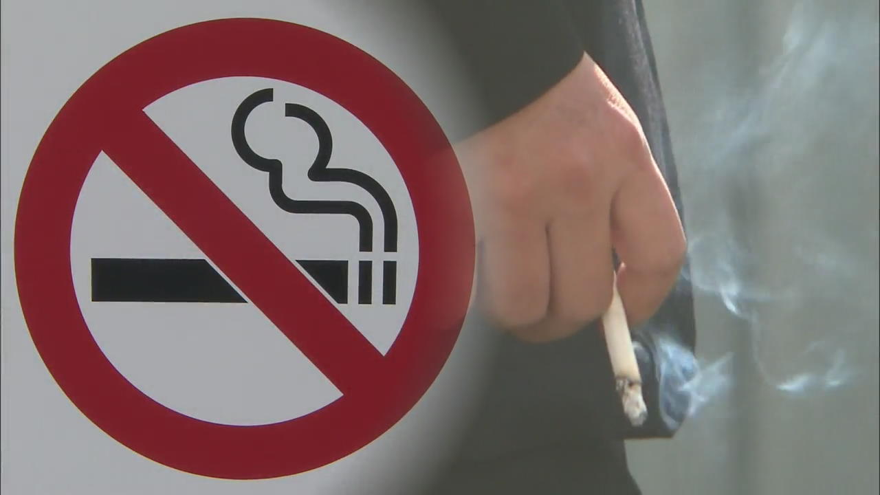 150㎡ 이상 음식점 흡연 금지…흡연자·업주 과태료