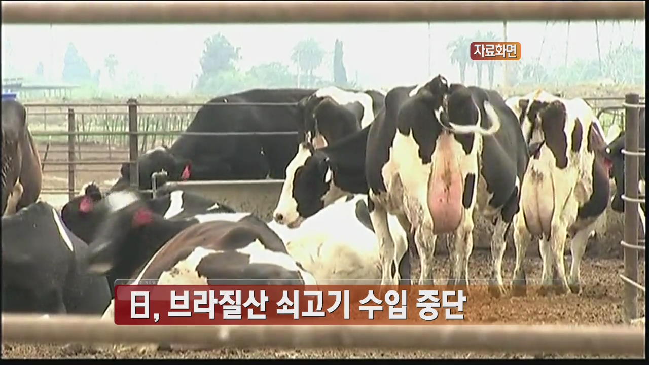 日, 브라질산 쇠고기 수입 중단