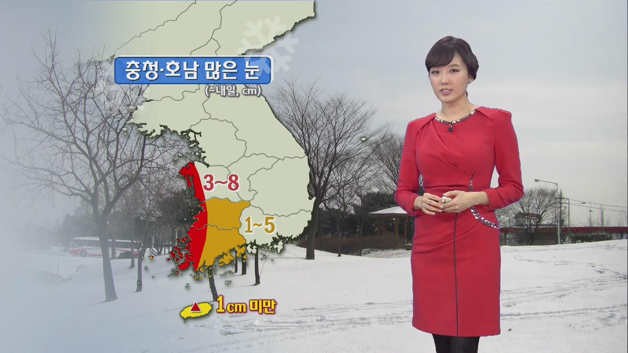 충청·호남 많은 눈…내일, 추위 고비