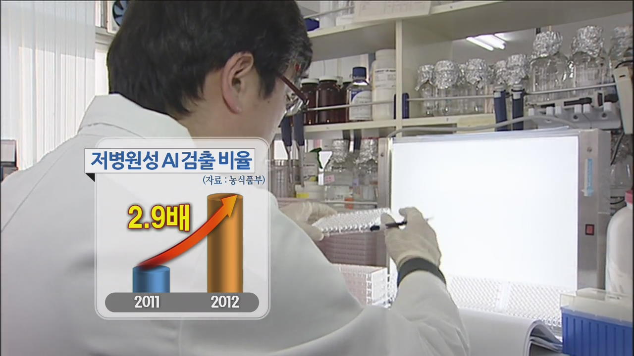 올 봄 고병원성 AI 가능성 경고…방역 비상