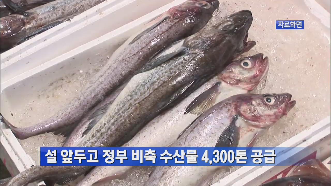 정부, 설 앞두고 비축 수산물 4,300여 톤 공급