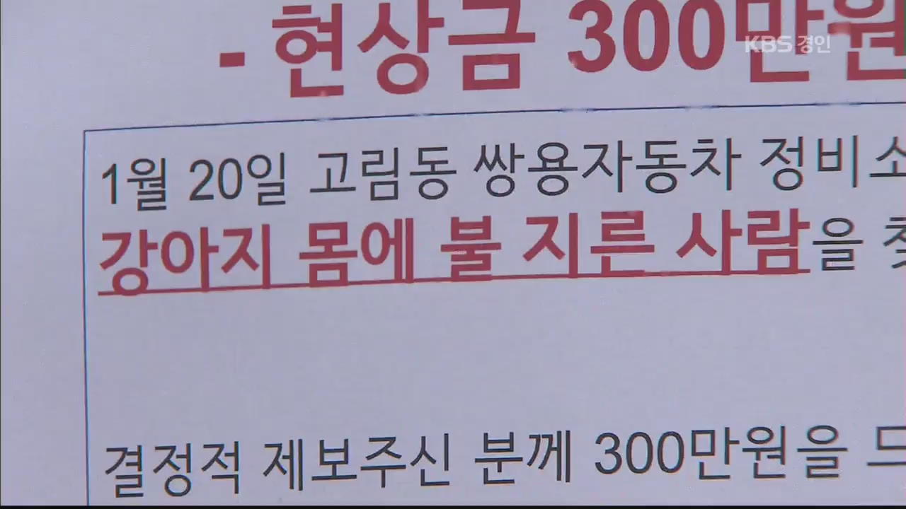 ‘불붙은개’ 용의자 잡혀도 무죄?