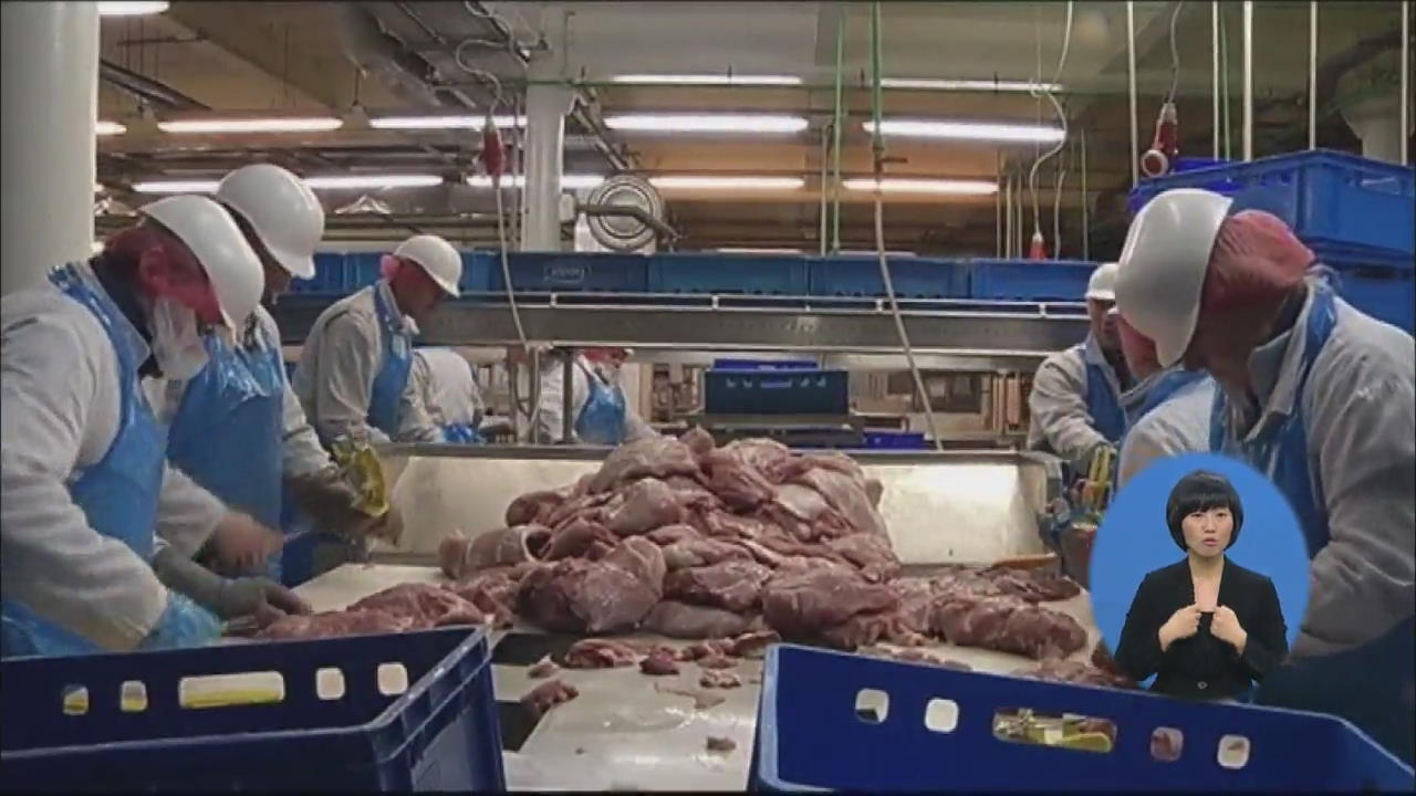 EU, ‘말고기 파문’ 조사