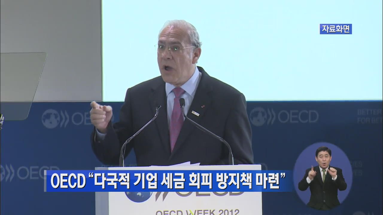 OECD “다국적 기업 세금 회피 방지책 마련”