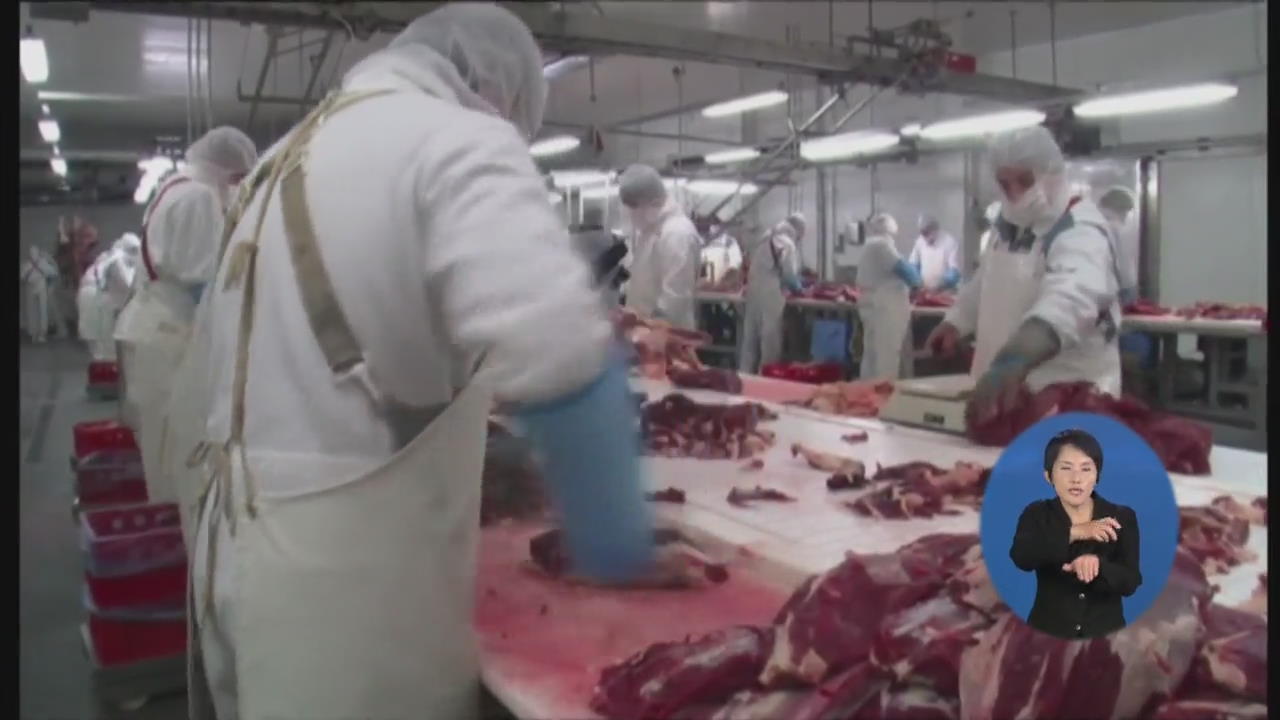 영국 말고기 공장 ‘가동 중지’…EU 대책회의