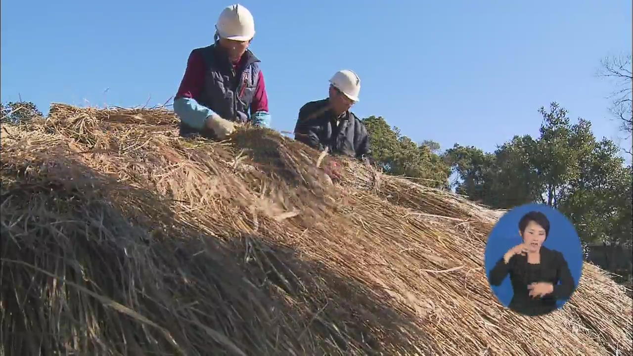 제주 성읍민속마을 ‘초가지붕 잇기’ 행사