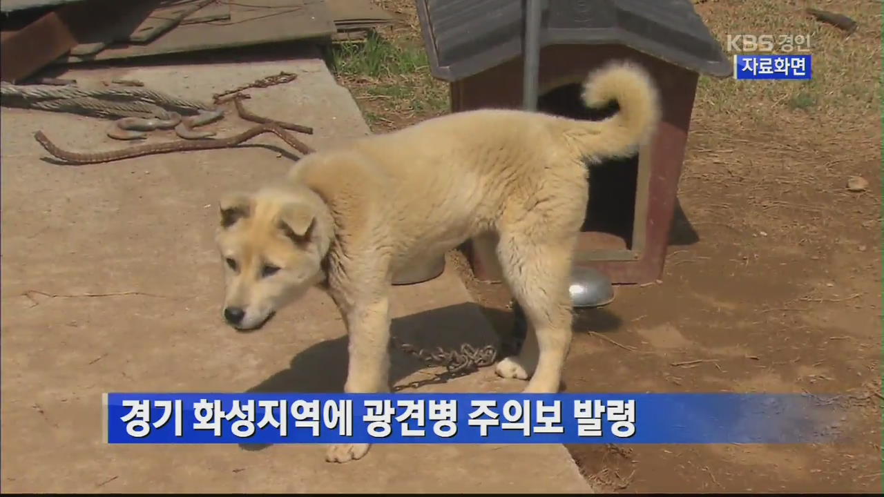 경기 화성지역에 광견병 주의보 발령