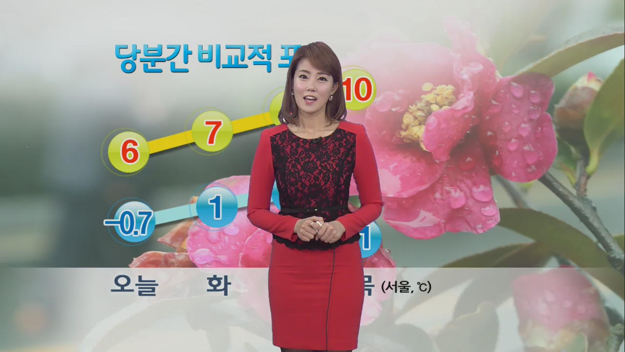 당분간 비교적 포근…한낮 예년 기온 웃돌아