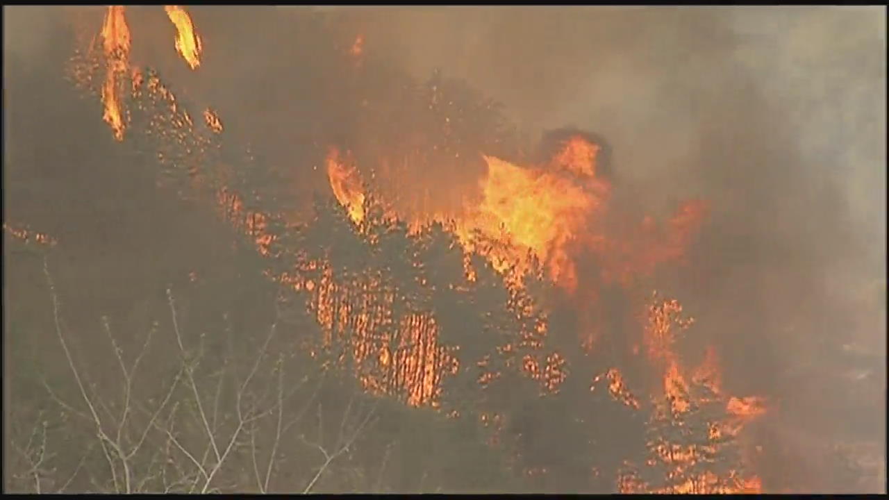 ‘건조한 날씨’ 전국 12건 산불…산림당국 비상