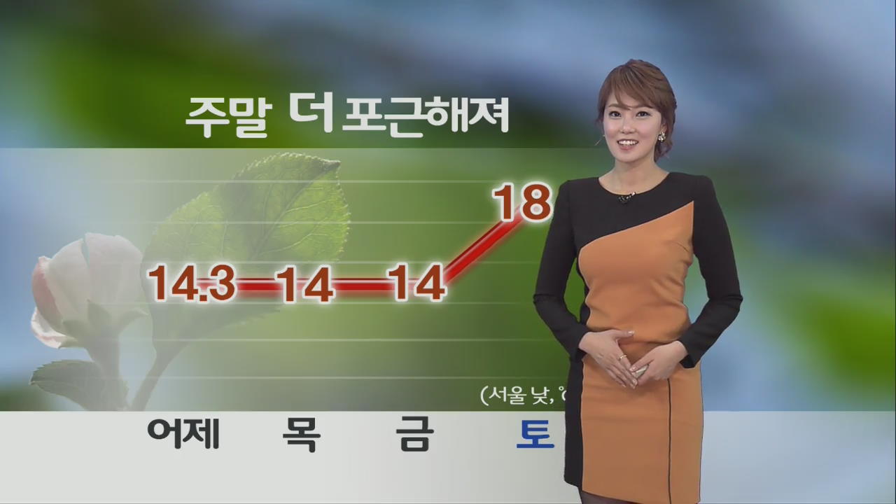 전국 오전까지 봄비…주말까지 포근