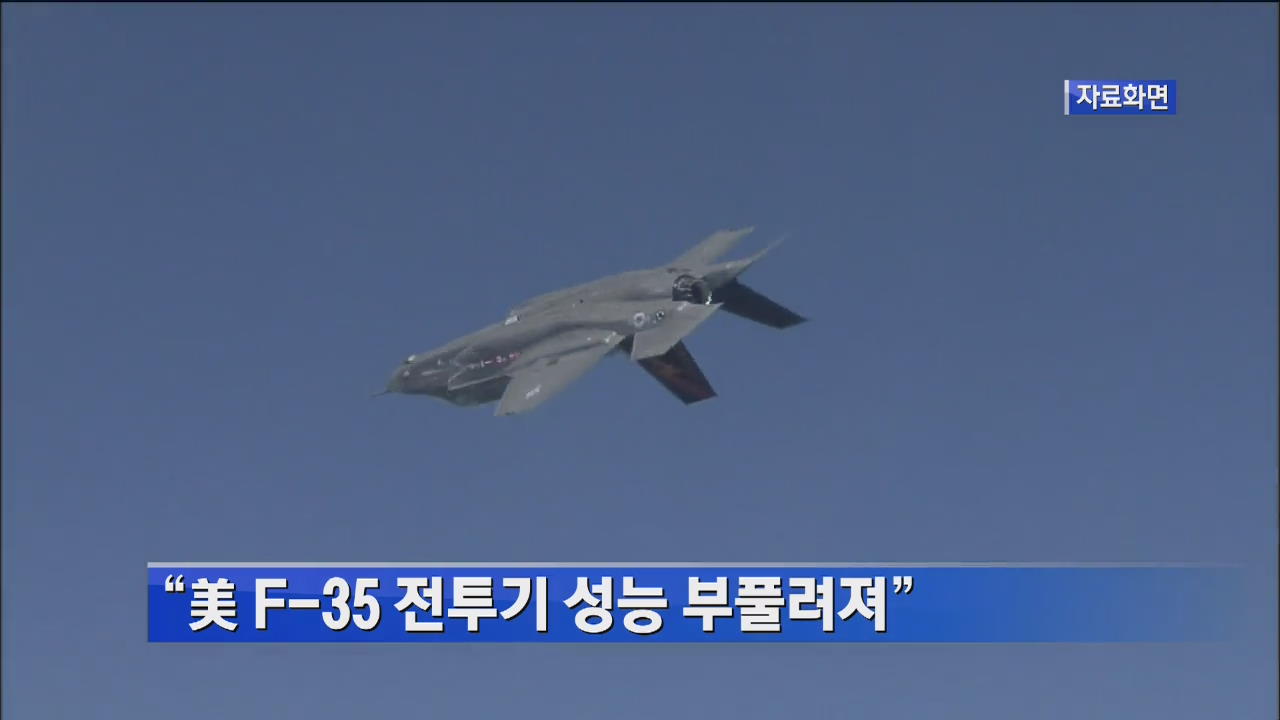 “美 F-35 전투기 성능 부풀려져”