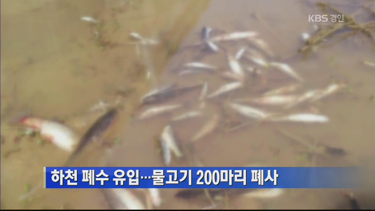 하천 폐수 유입…물고기 200마리 폐사