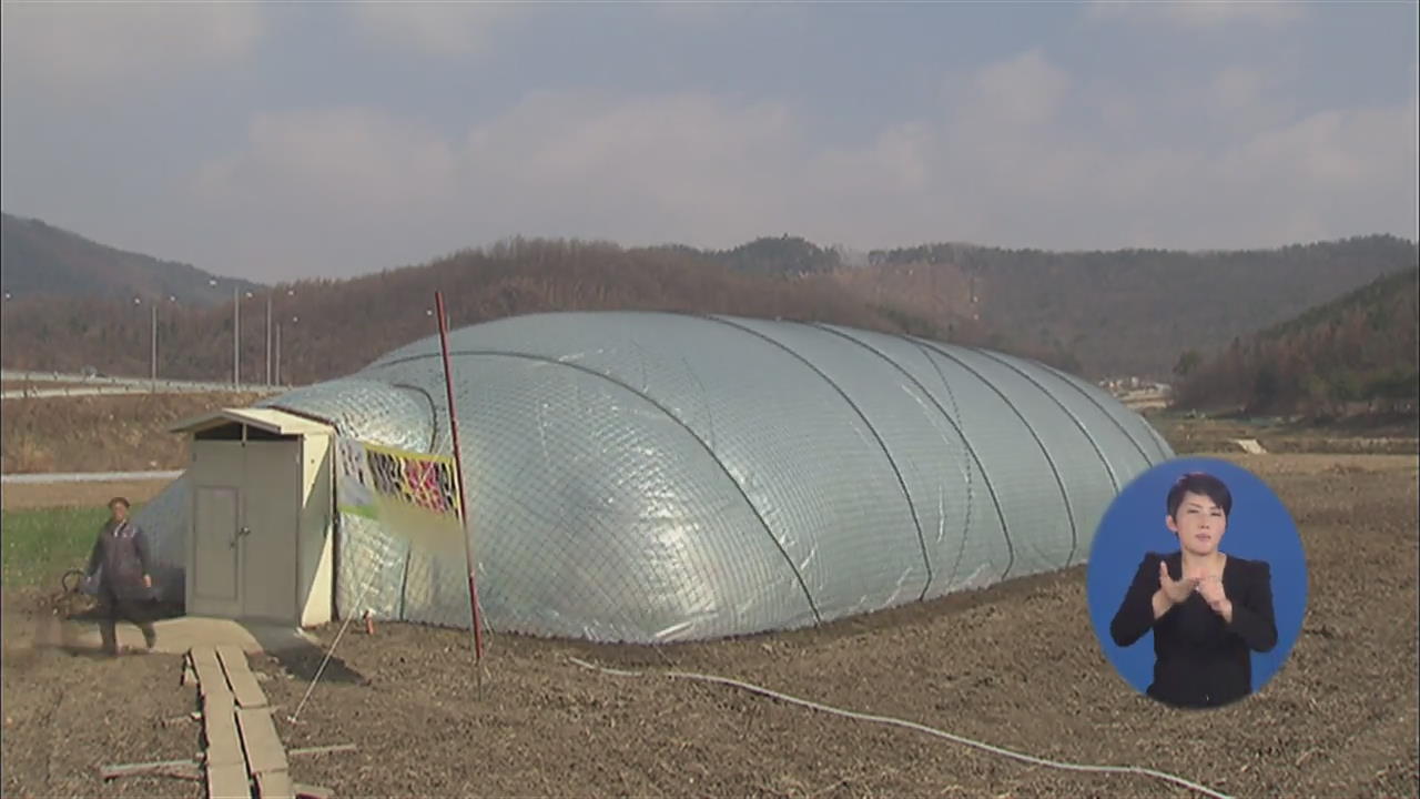비닐하우스 대신 태풍·폭설 강한 ‘에어하우스’