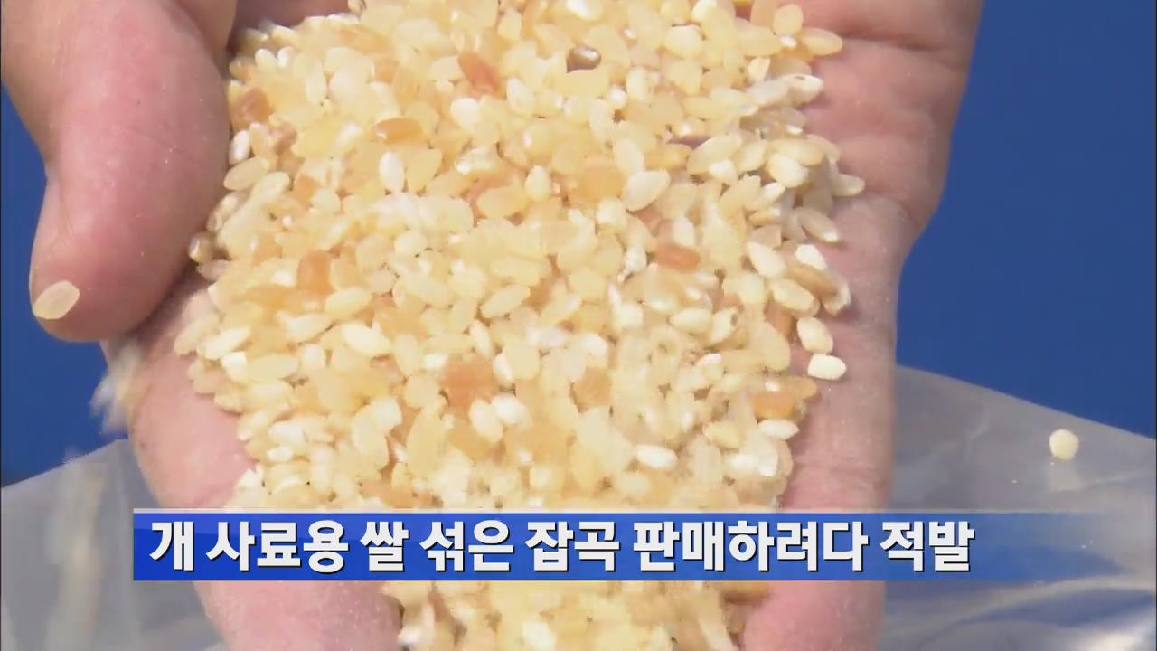 개 사료용 쌀 섞은 잡곡 판매하려다 적발