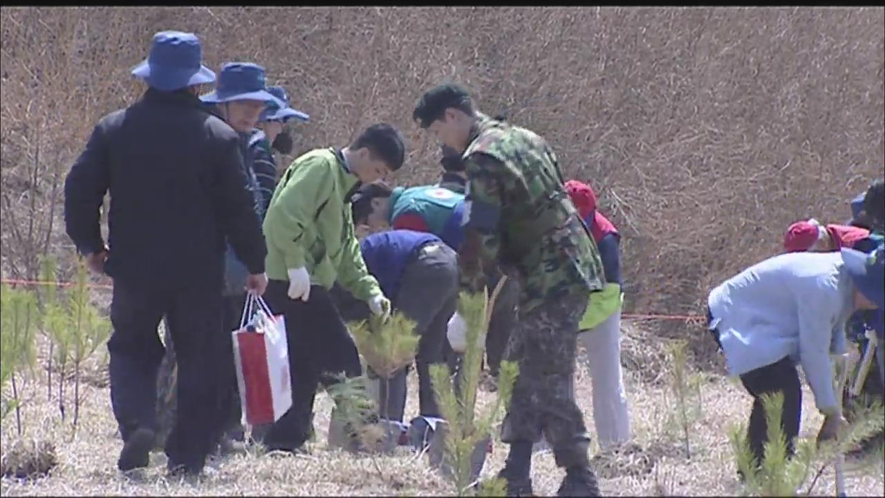 정전 60년…지뢰밭에 ‘평화의 숲’ 조성