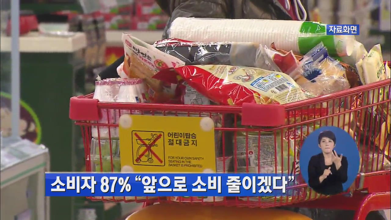 소비자 87% “앞으로 소비 줄이겠다”