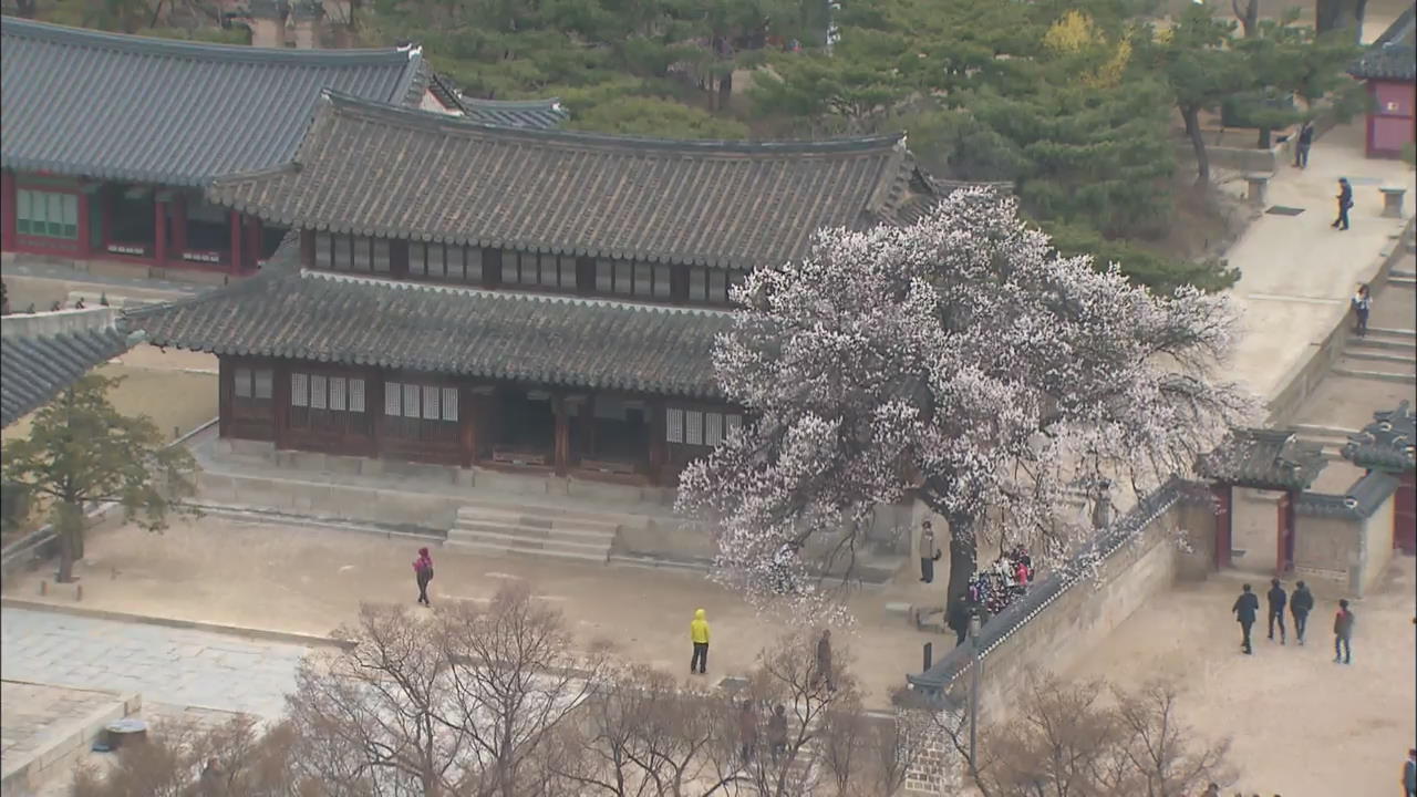 서울 전경 ‘한눈에’…서소문청사 개방