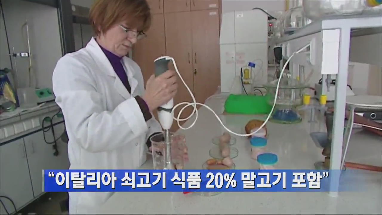 “이탈리아 쇠고기 식품 20% 말고기 포함”