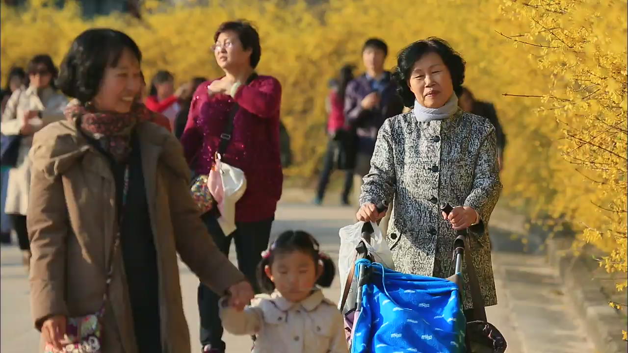 따뜻한 봄 날씨…시민들, 활짝 핀 봄꽃 ‘만끽’