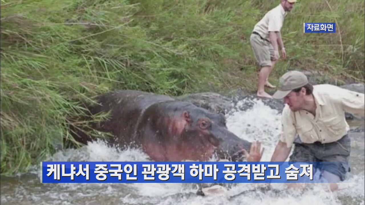 케냐서 중국인 관광객 하마 공격받고 숨져