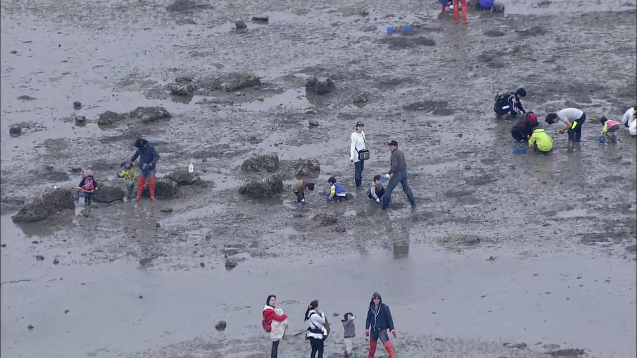 포근한 봄날…바다 나들이도 북적