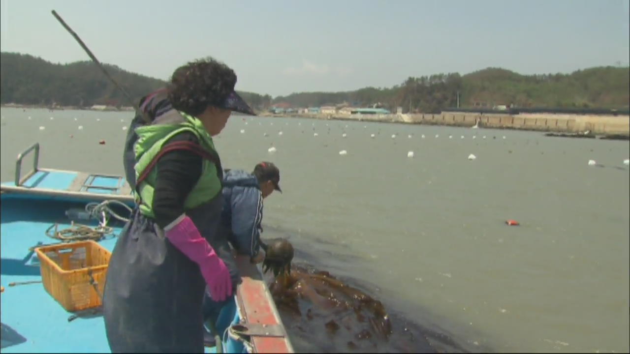 “바다로 와요”…귀농 대신 ‘귀어’