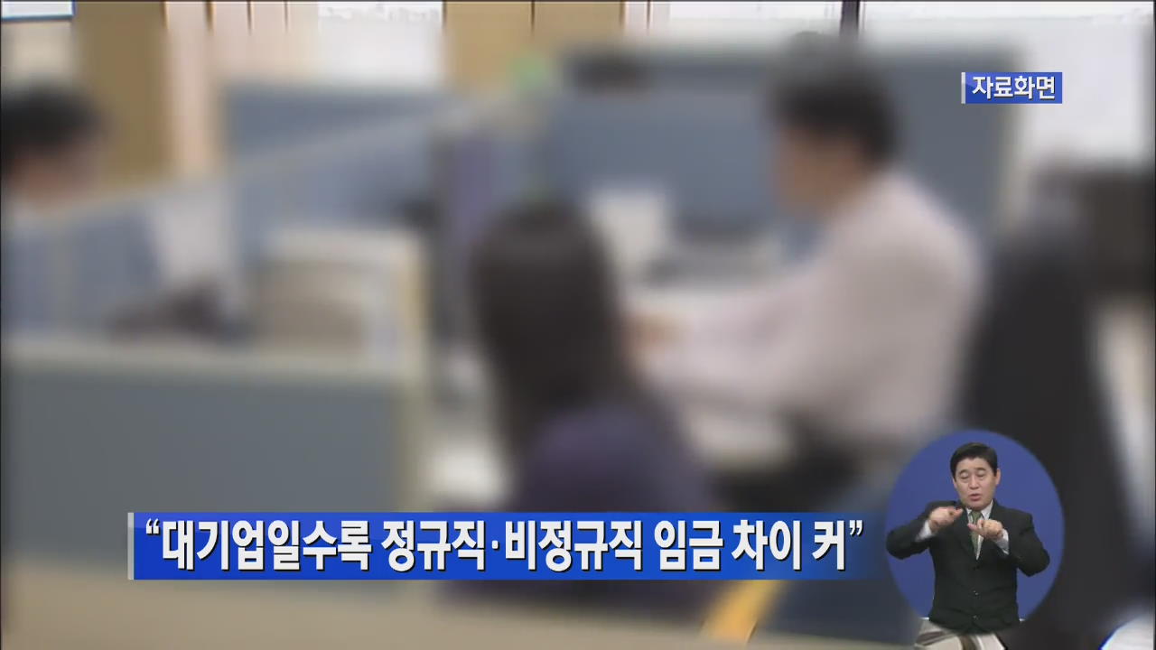 “대기업일수록 정규직·비정규직 임금 차이 커”