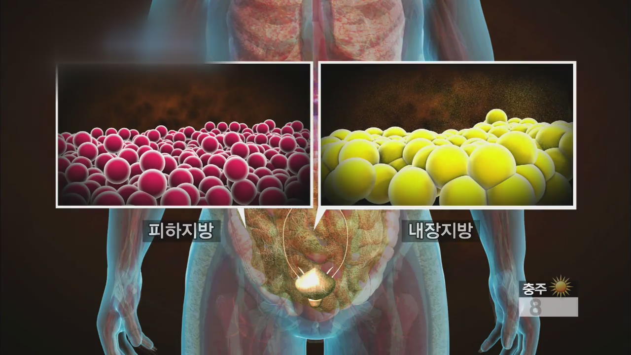 [알약톡톡] 내겐 너무 위험한 뱃살 ‘복부비만’