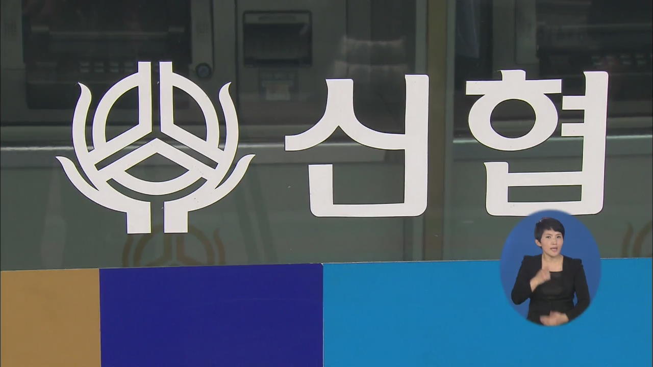 ‘신협 편법 대출·횡령’ 금감원 전방위 점검