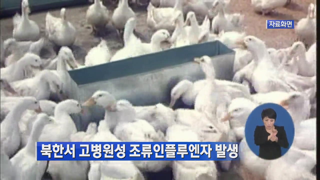 북한서 고병원성 조류인플루엔자 발생