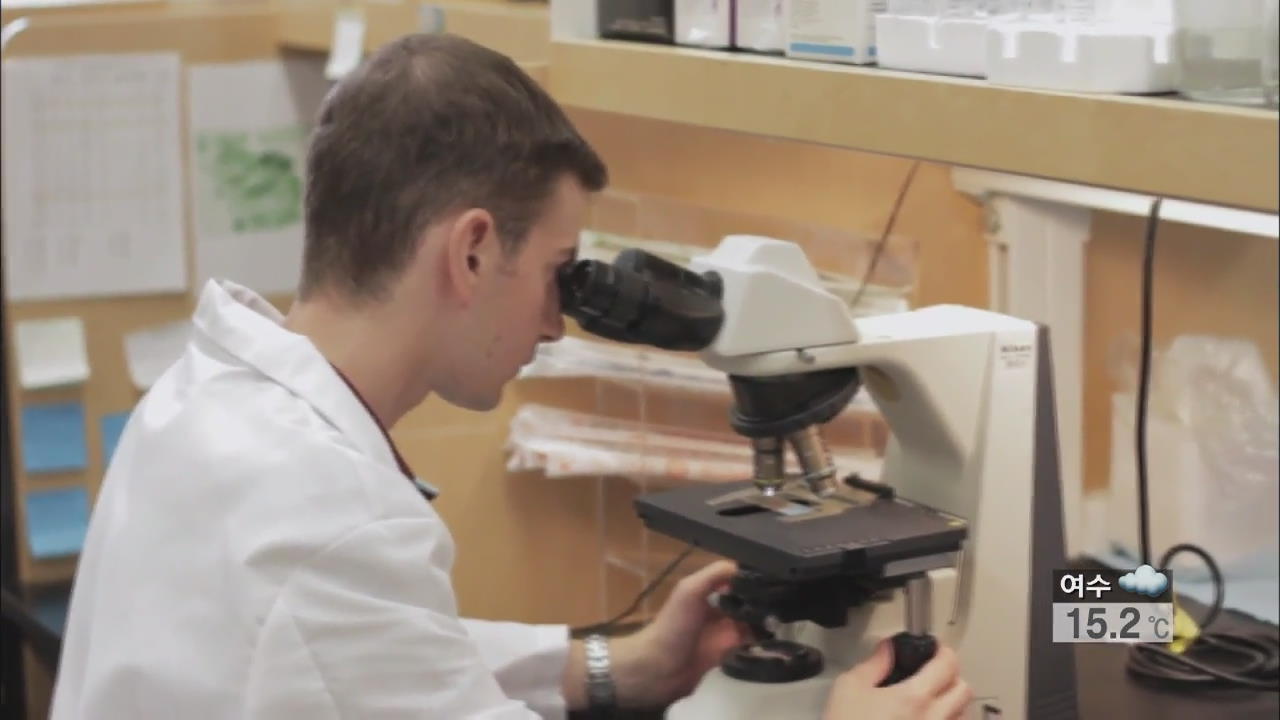 美 연구진, 세계 최초 배아줄기세포 복제 성공