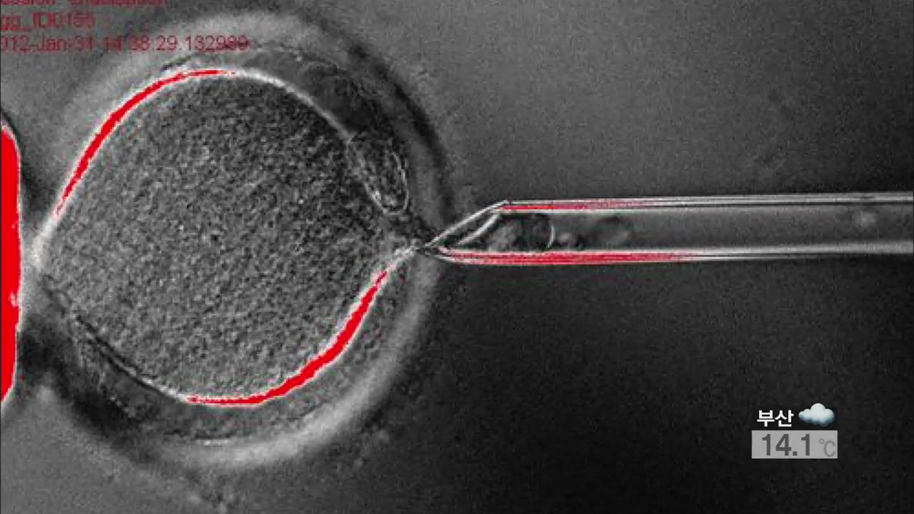 美 연구진, 세계 최초 배아줄기세포 복제 성공