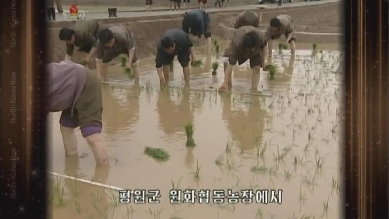 [요즘 북한은] 北 모내기에 군인까지 동원 外