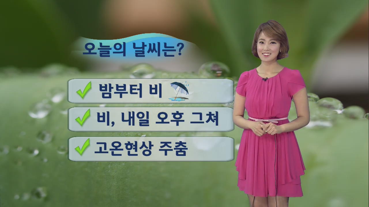 밤부터 전국 비…내일 오후 비 그치고 더위 주춤
